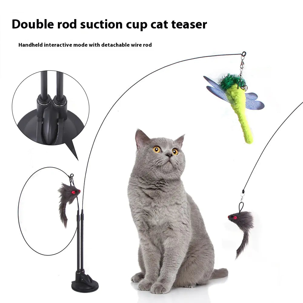 CAT Sucker TEASER TOY - Stimulating Play and Exercise.