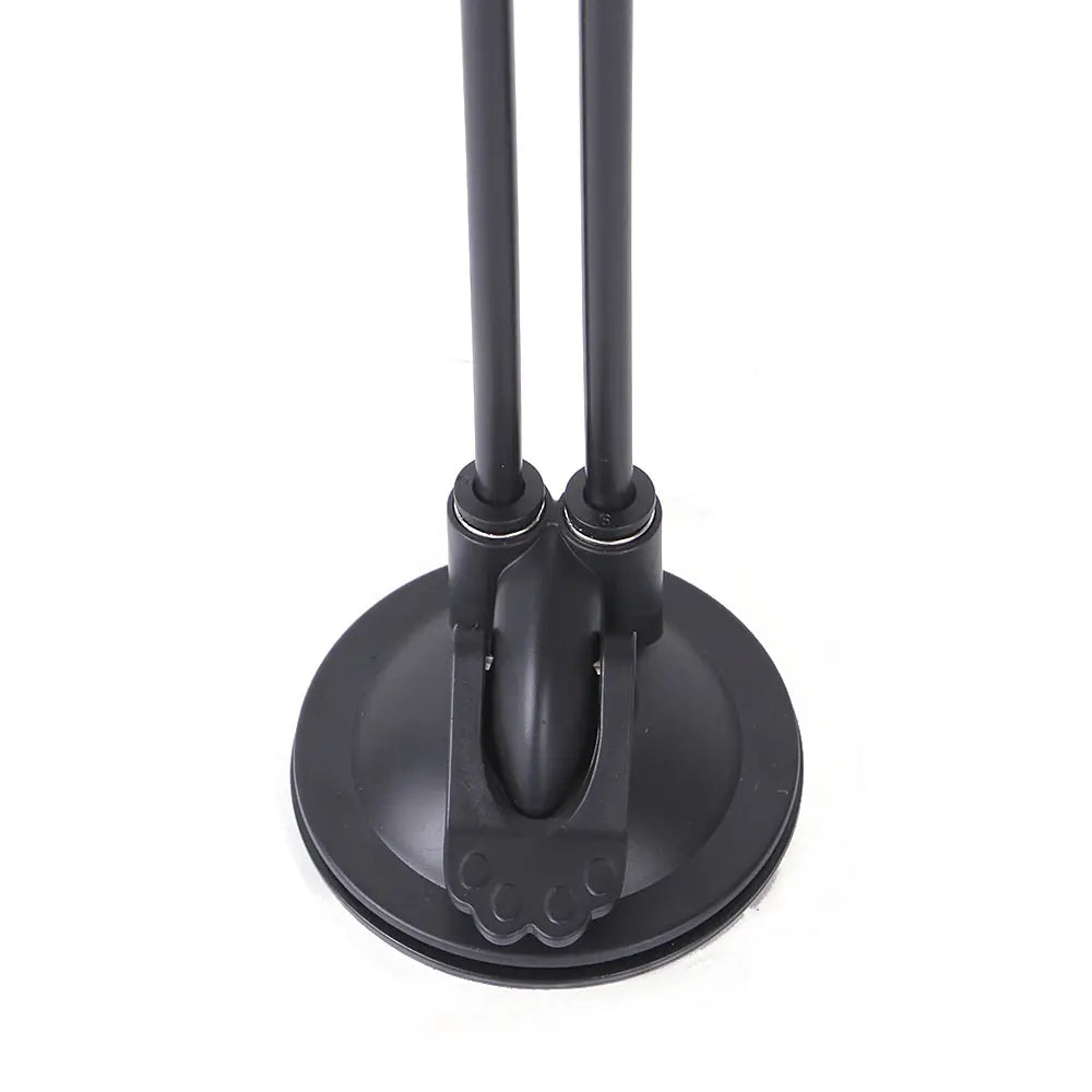 CAT Sucker TEASER TOY - Stimulating Play and Exercise.