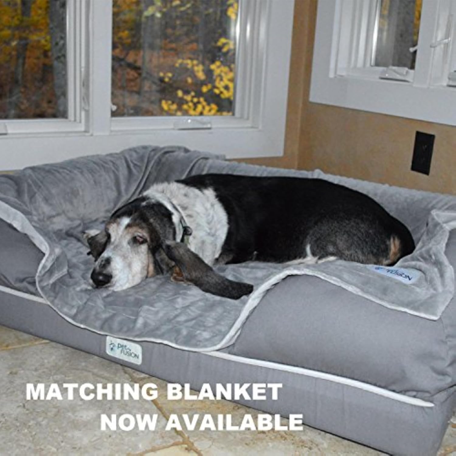 ULTIMATE ORTHOPEDIC DOG BED w/Memory Foam, Multiple SIZES & COLORS